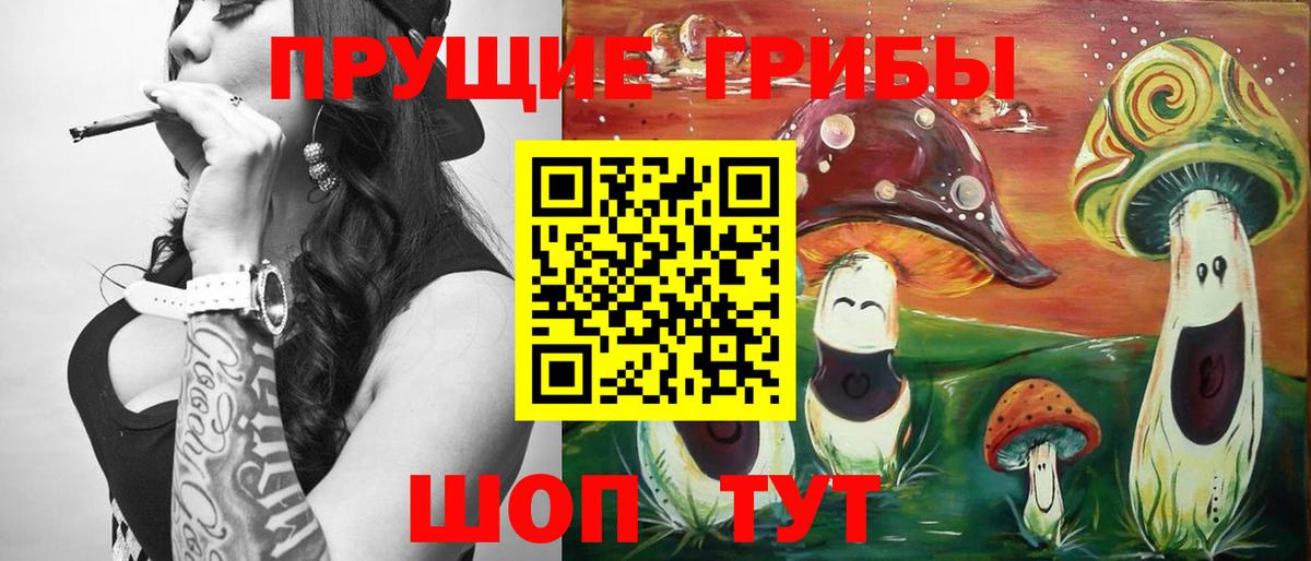 Галлюциногенные грибы Psilocybe Хасавюрт